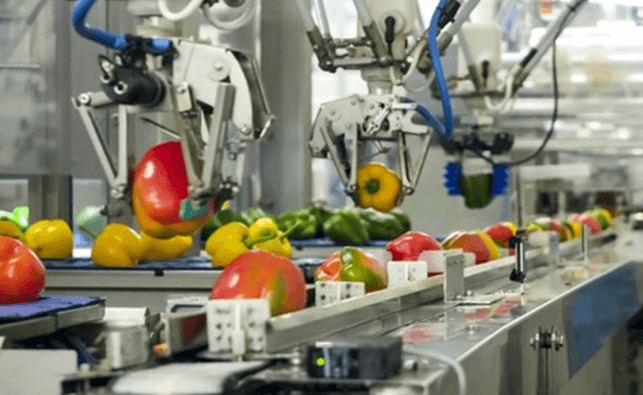 Naujausi sprendimai maisto pramonės įrengimams: nuo varžtelio iki reduktoriaus